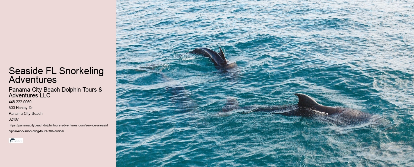 What Is Dolphin Show