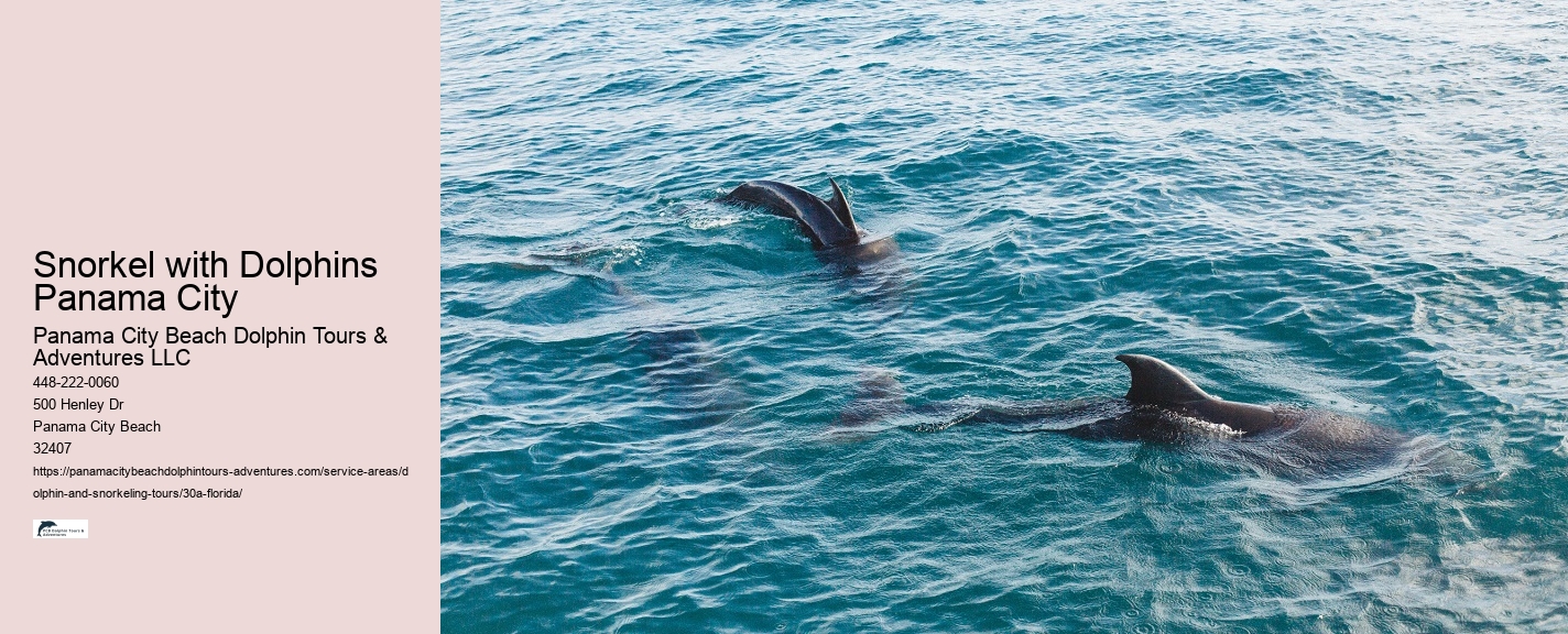 Is it illegal to swim with wild dolphins in Florida