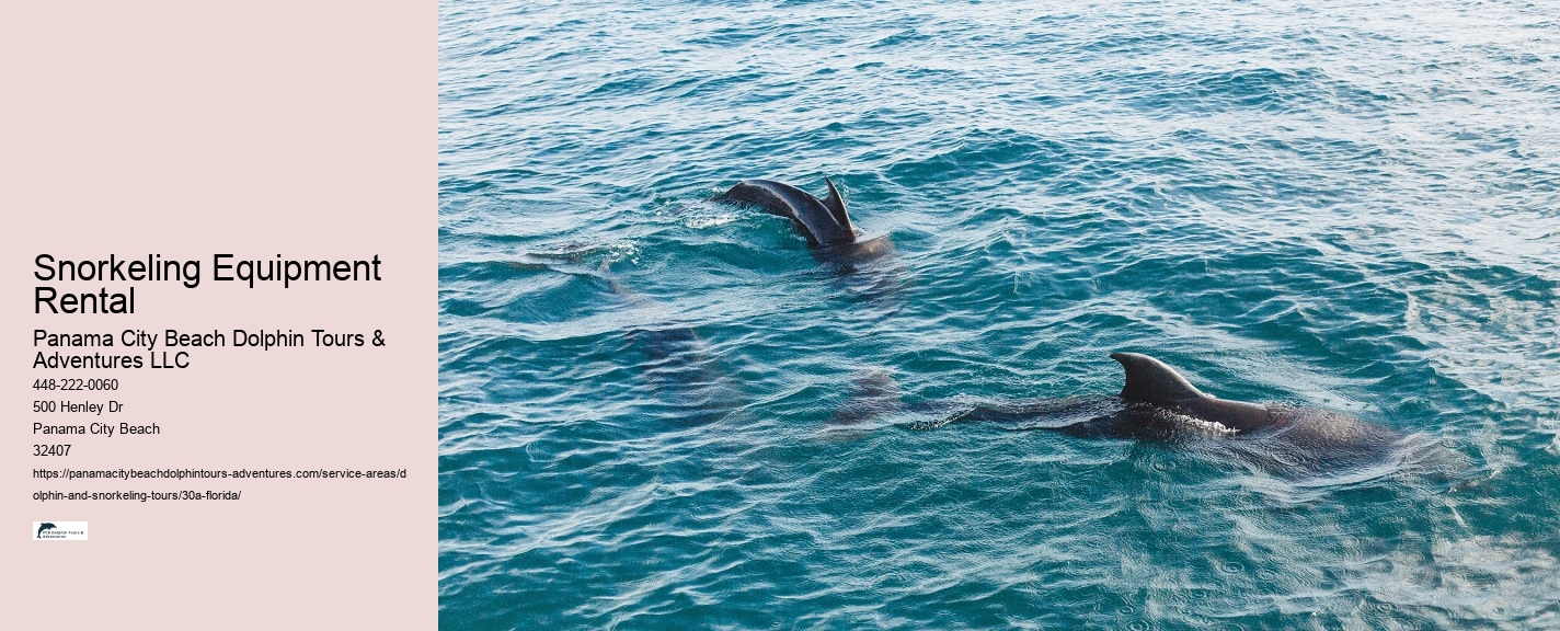 Dolphin Tours Near Me