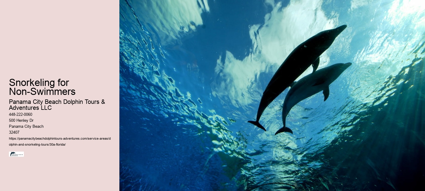 30 Foot Dolphin