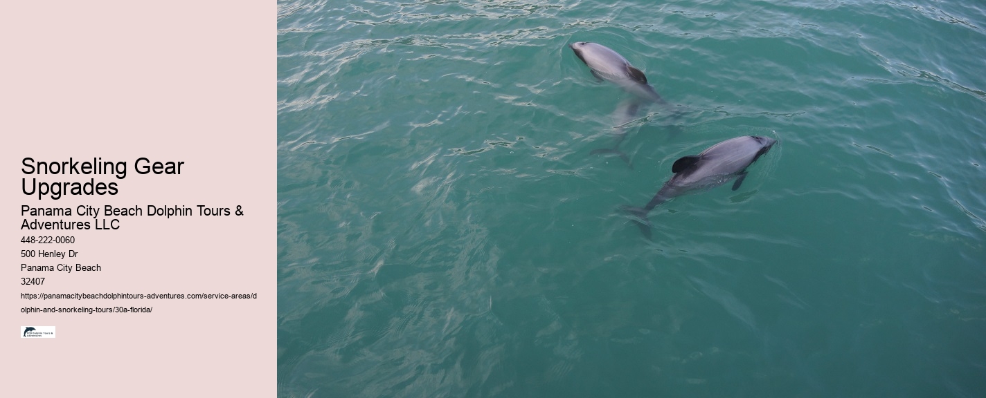 Blue Dolphin