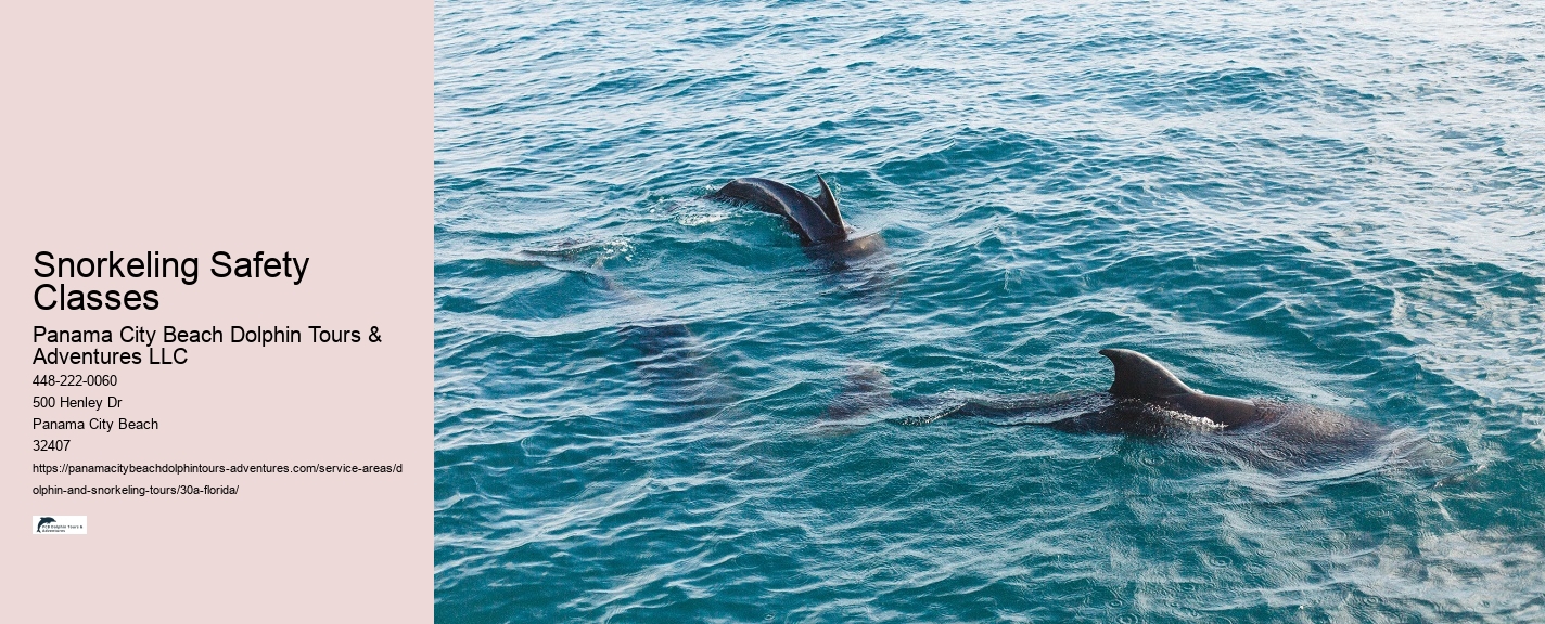 A Dolphin Diagram
