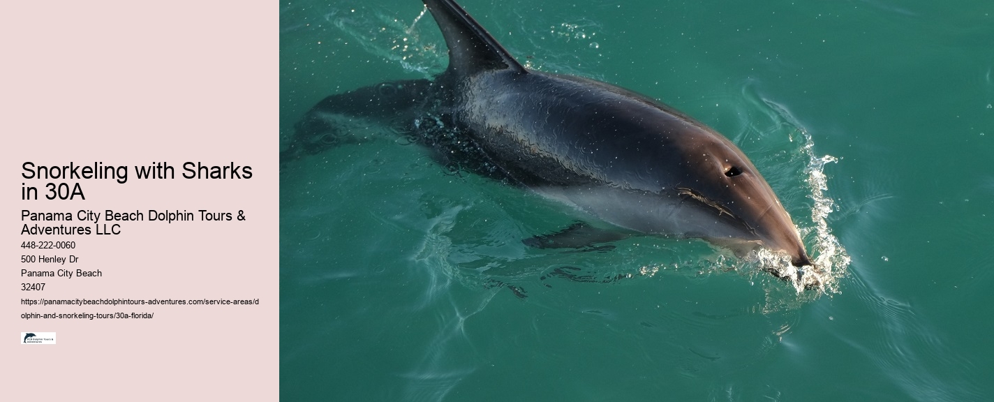 Marine Life