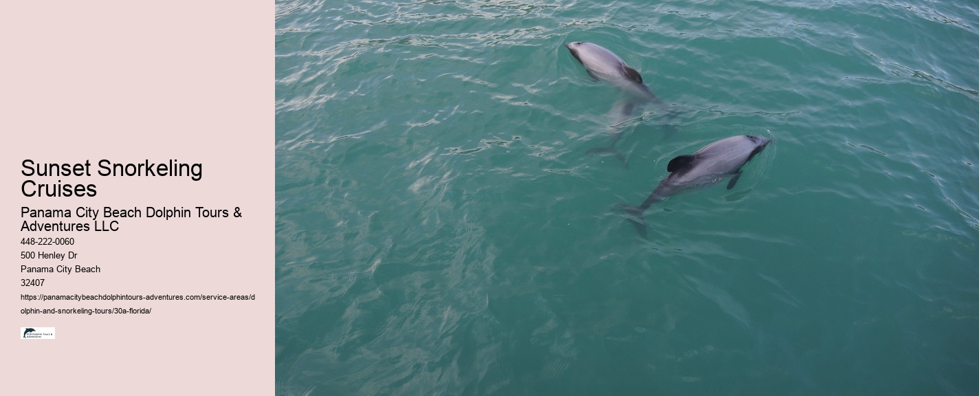 Dolphin Jet Boat Tour