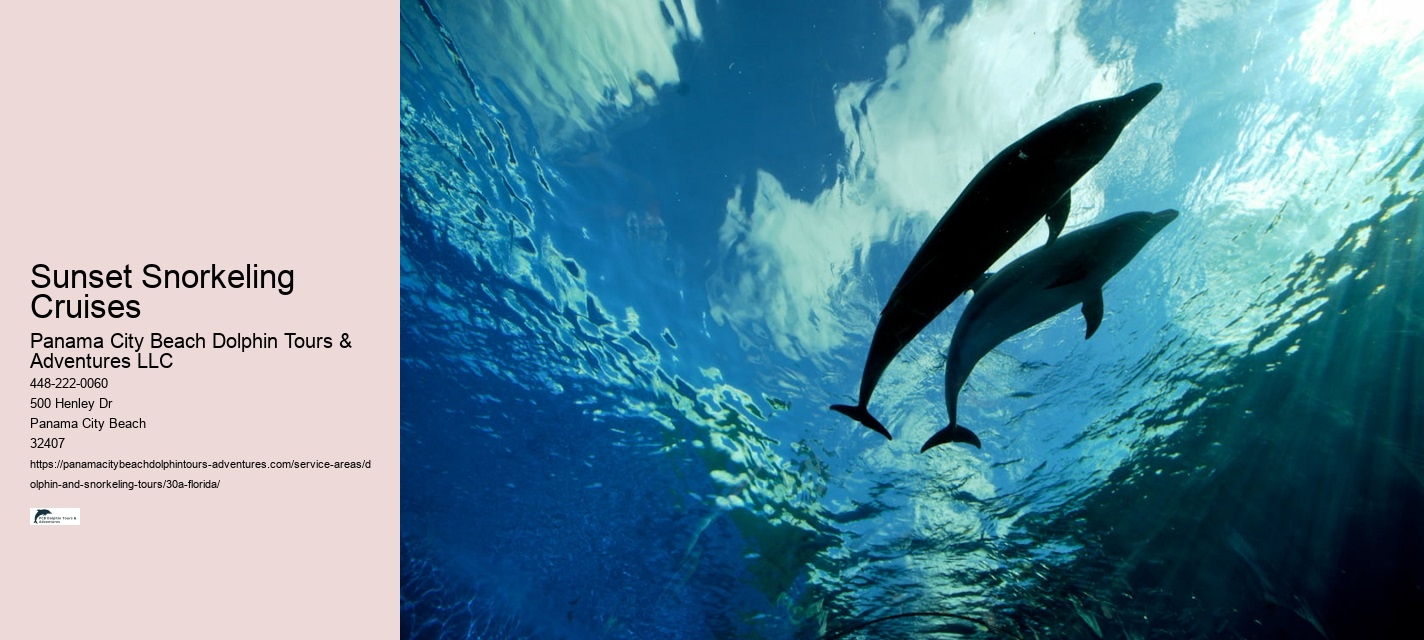 30a Dolphin Tours