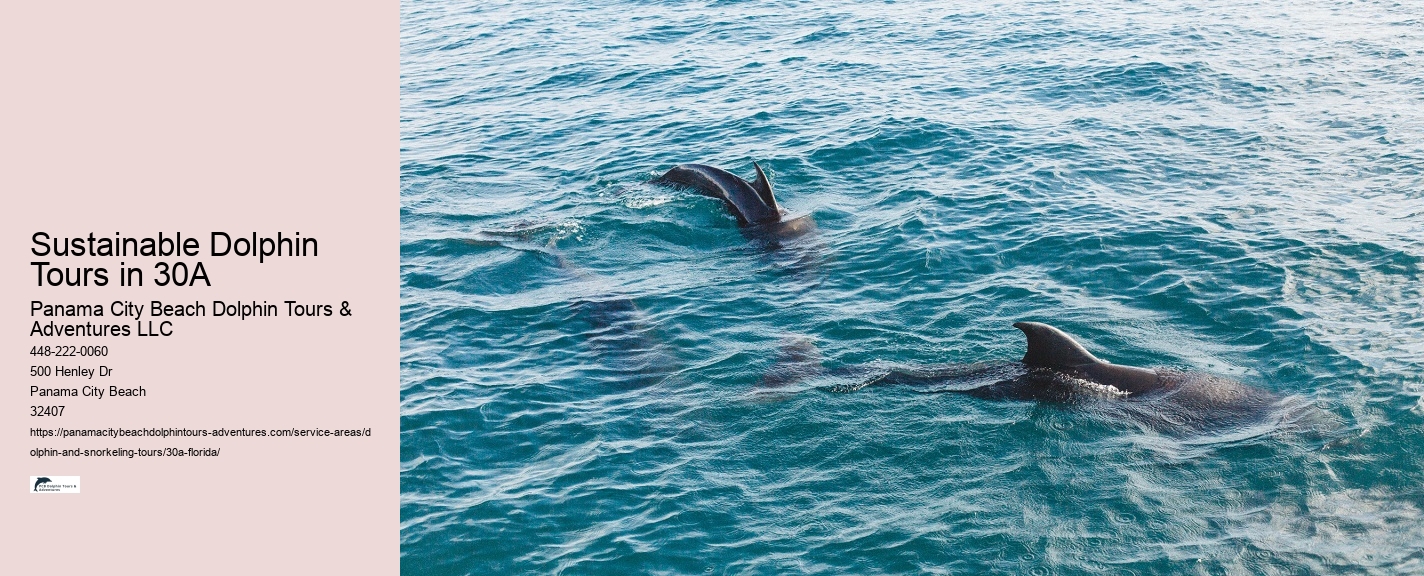 Jet Boat Dolphin Tours