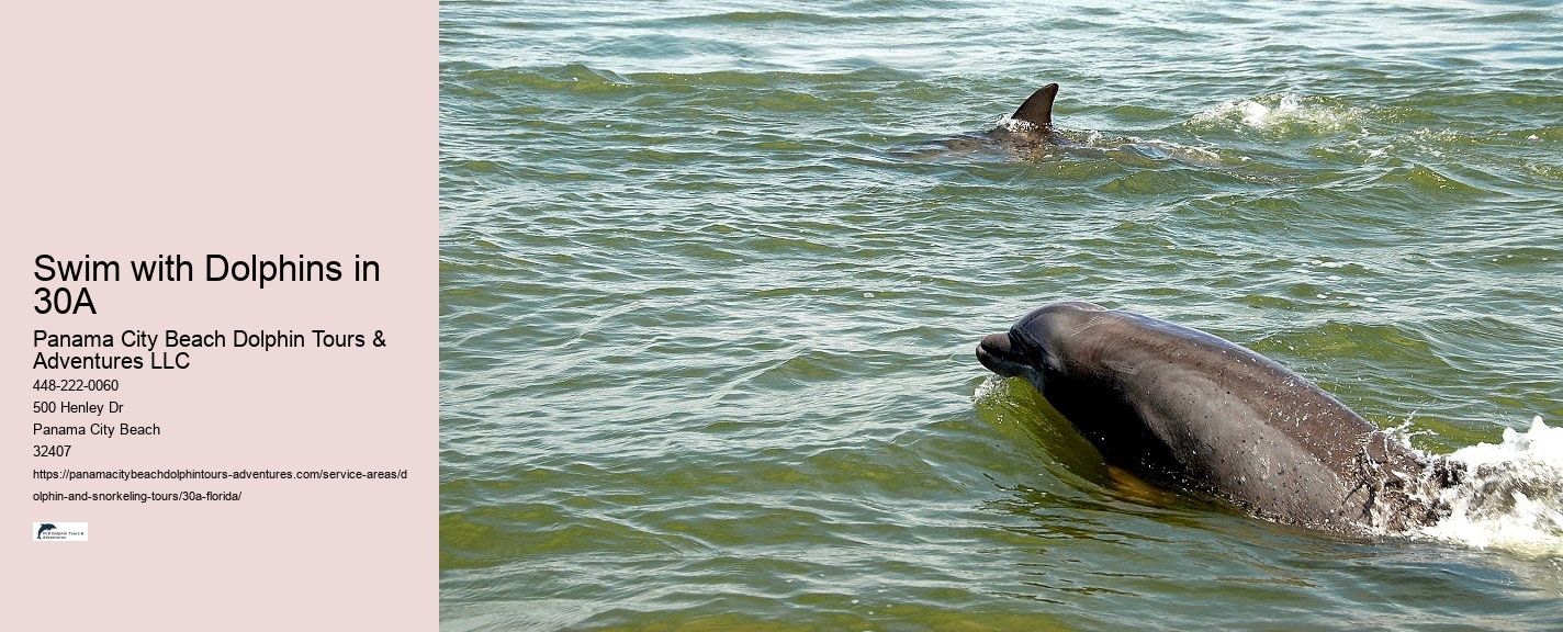Can You Scuba Dive In Florida