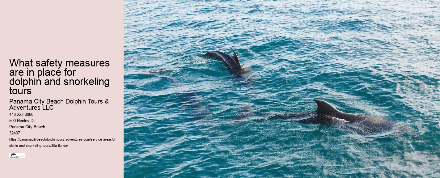Snorkeling Tours