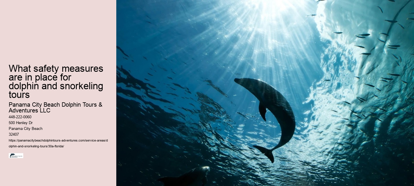 Best Dolphin Boat Tour Clearwater