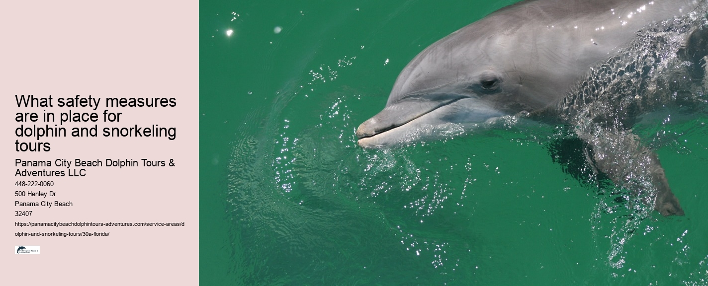 Full Moon Snorkeling Tours 30A