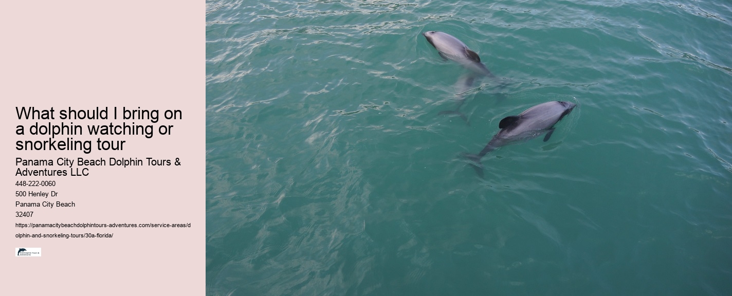 Dolphin Tours Nearby