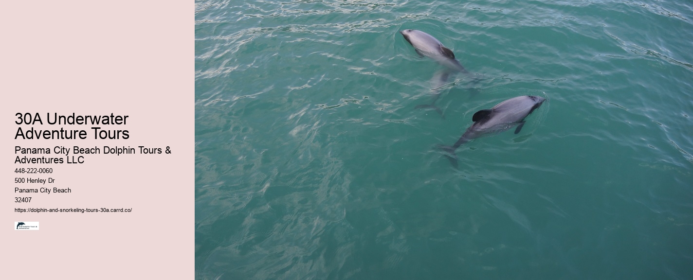 What does it mean when dolphins swim around you