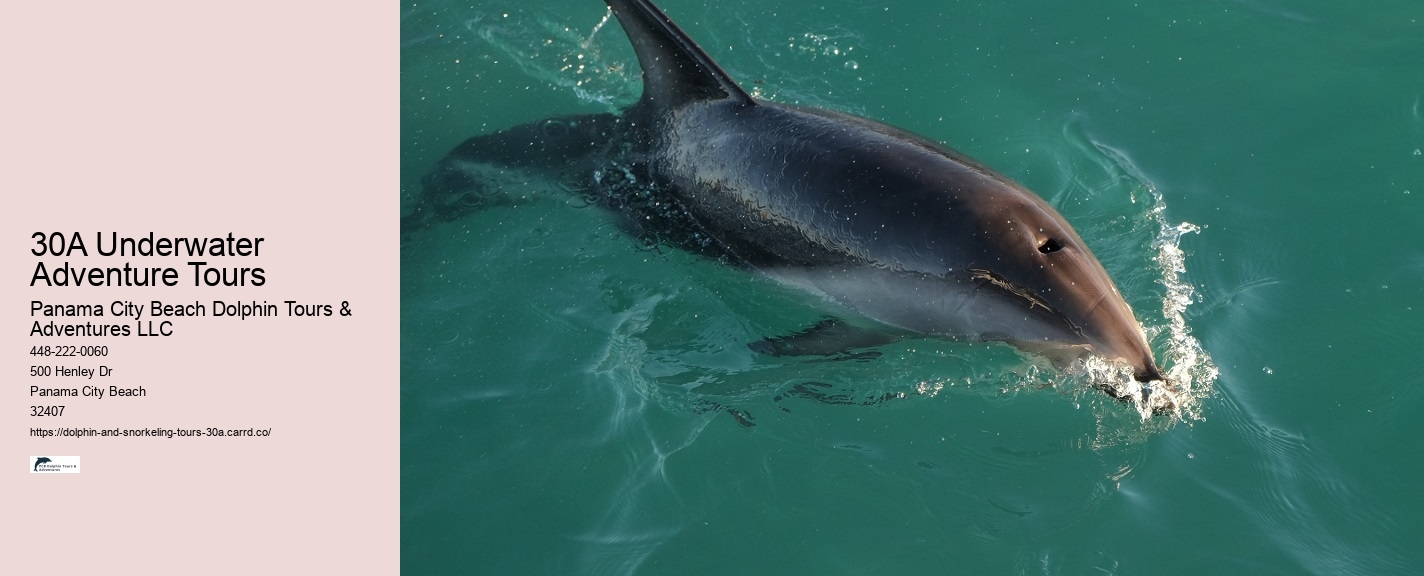 Panama City Beach Sea Life Tours