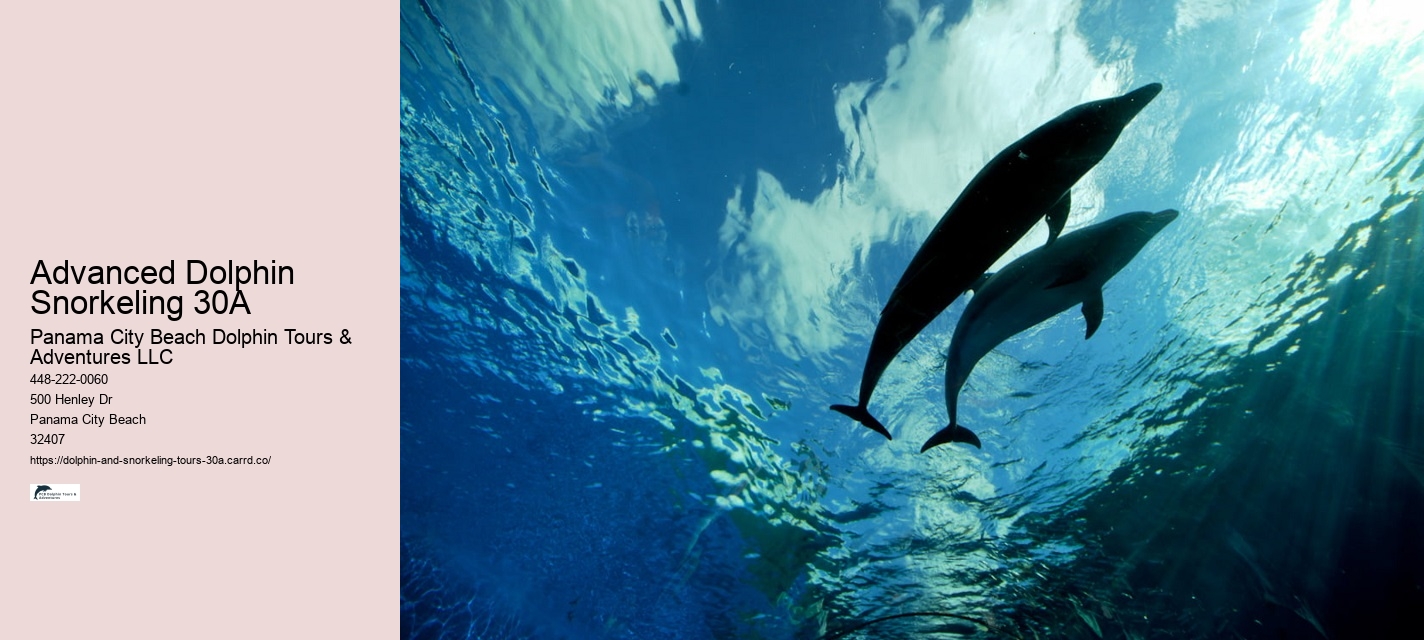 Grand Mere Dolphin Cruise