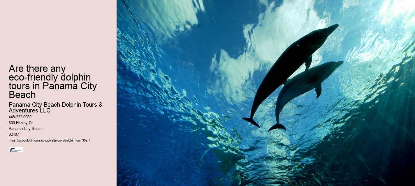 Are there any eco-friendly dolphin tours in Panama City Beach
