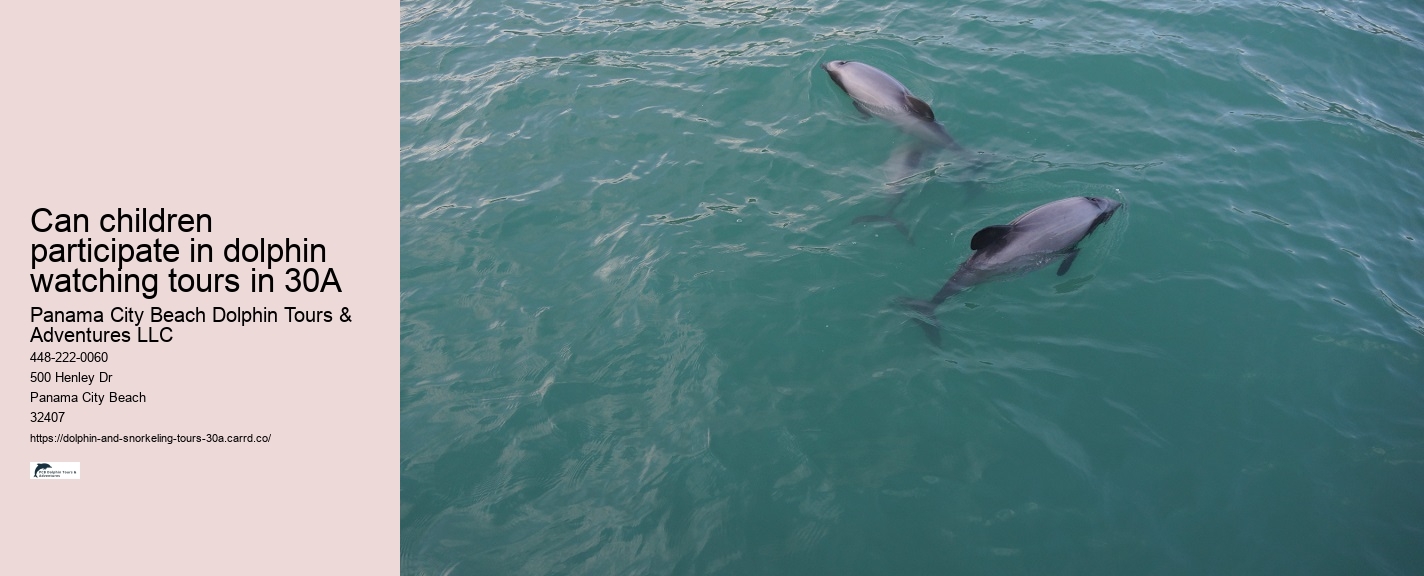 What time of year is best for dolphin watching