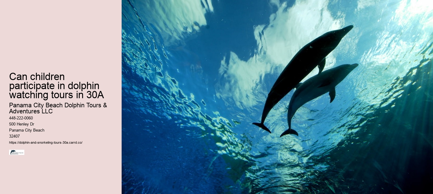 Underwater Dolphin Sounds