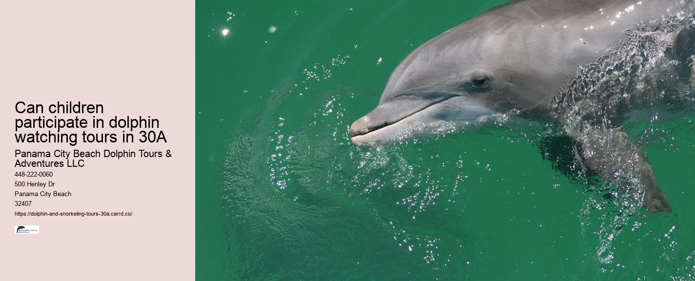 Dolphin Feeding Near Me