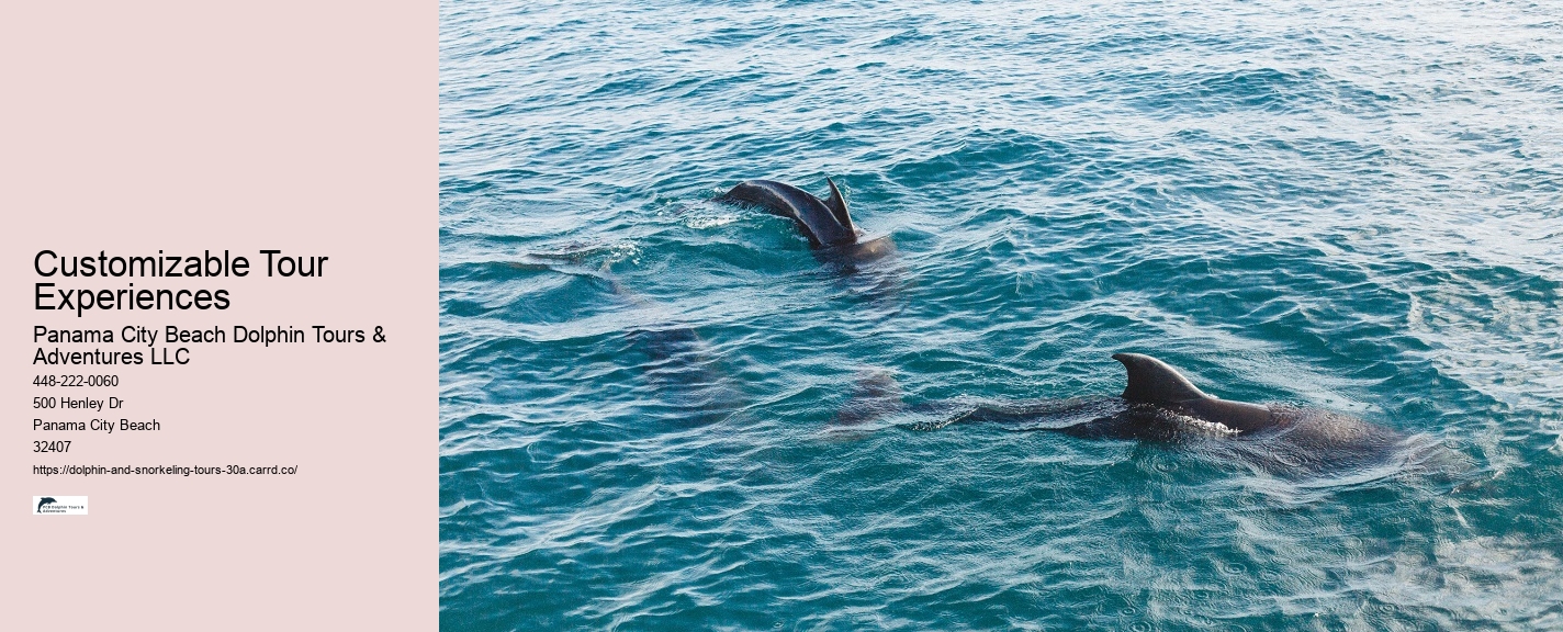 Underwater Photography Tours 30A