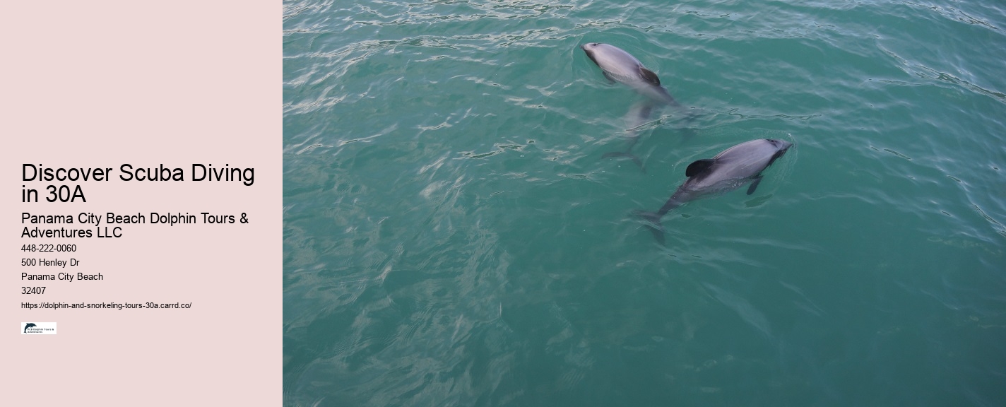 Why Dolphins Are Important
