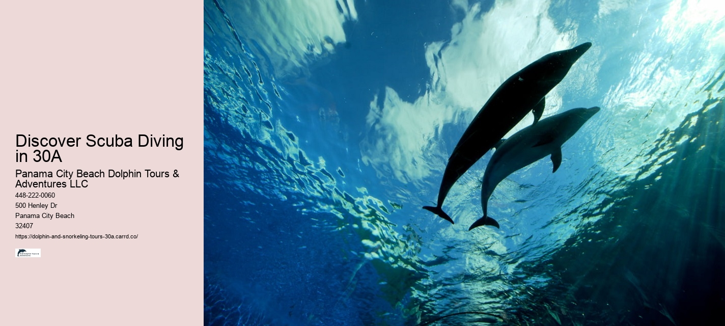 Why Do Dolphins Swim With Boats