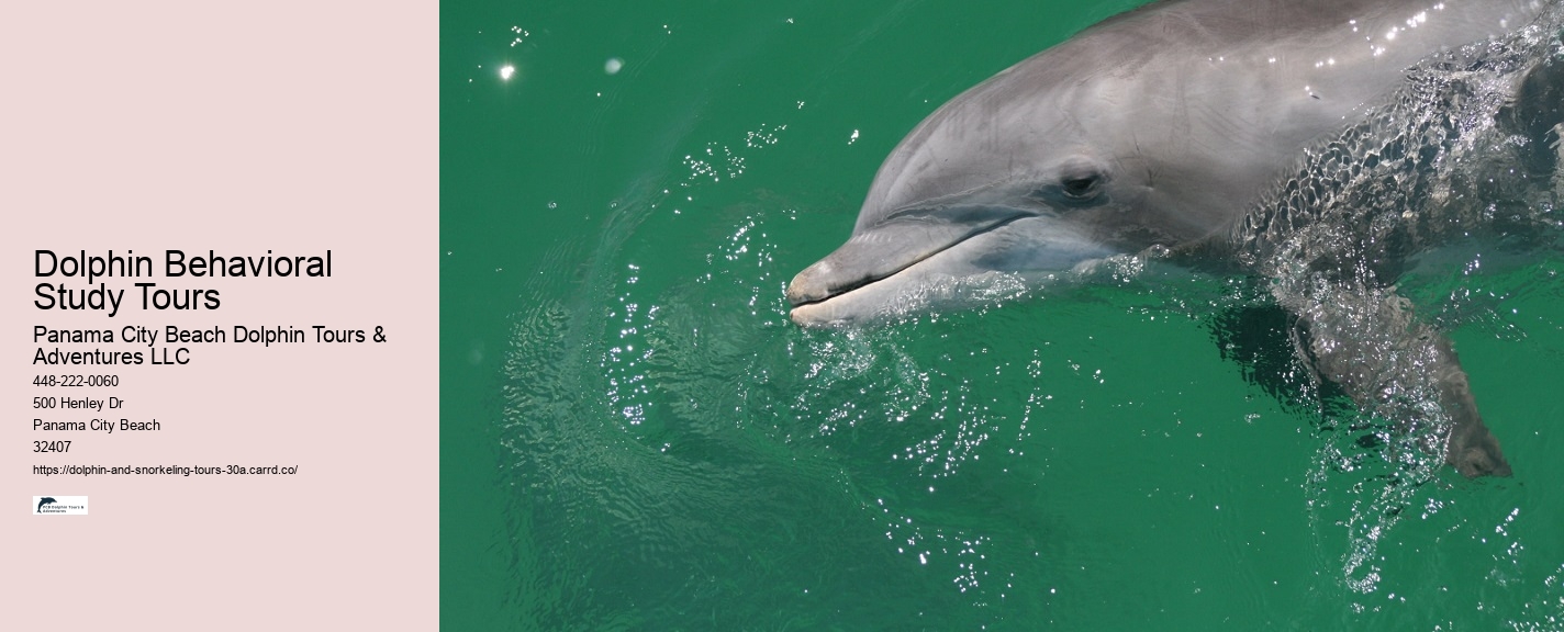 Snorkeling Tours 30a