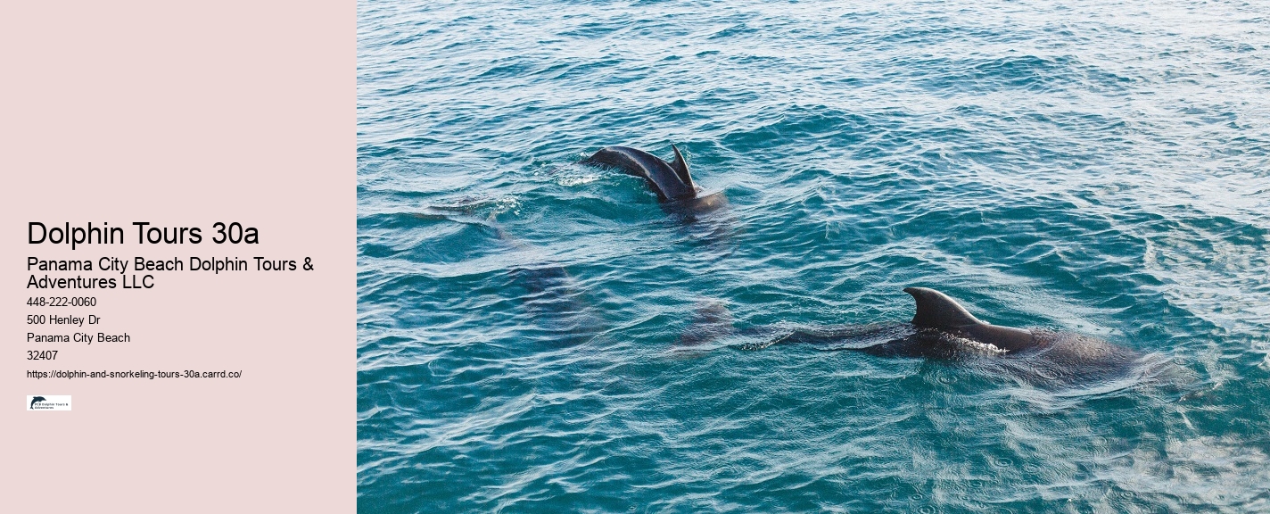 Snorkel Tours 30a