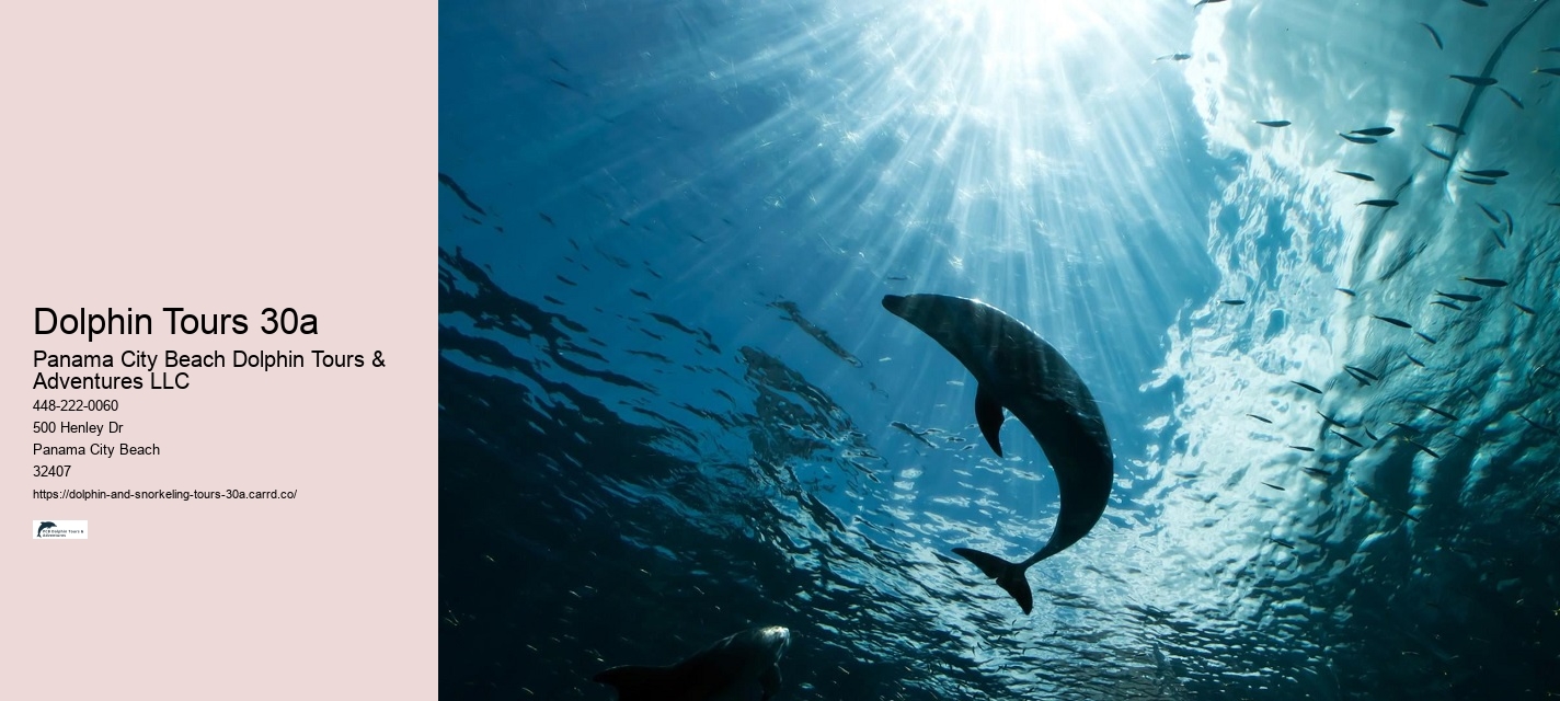 Dolphin Ears Tours