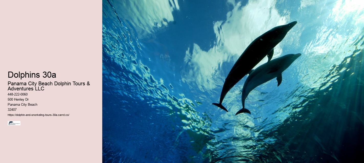 Family Dolphin Tours Panama City