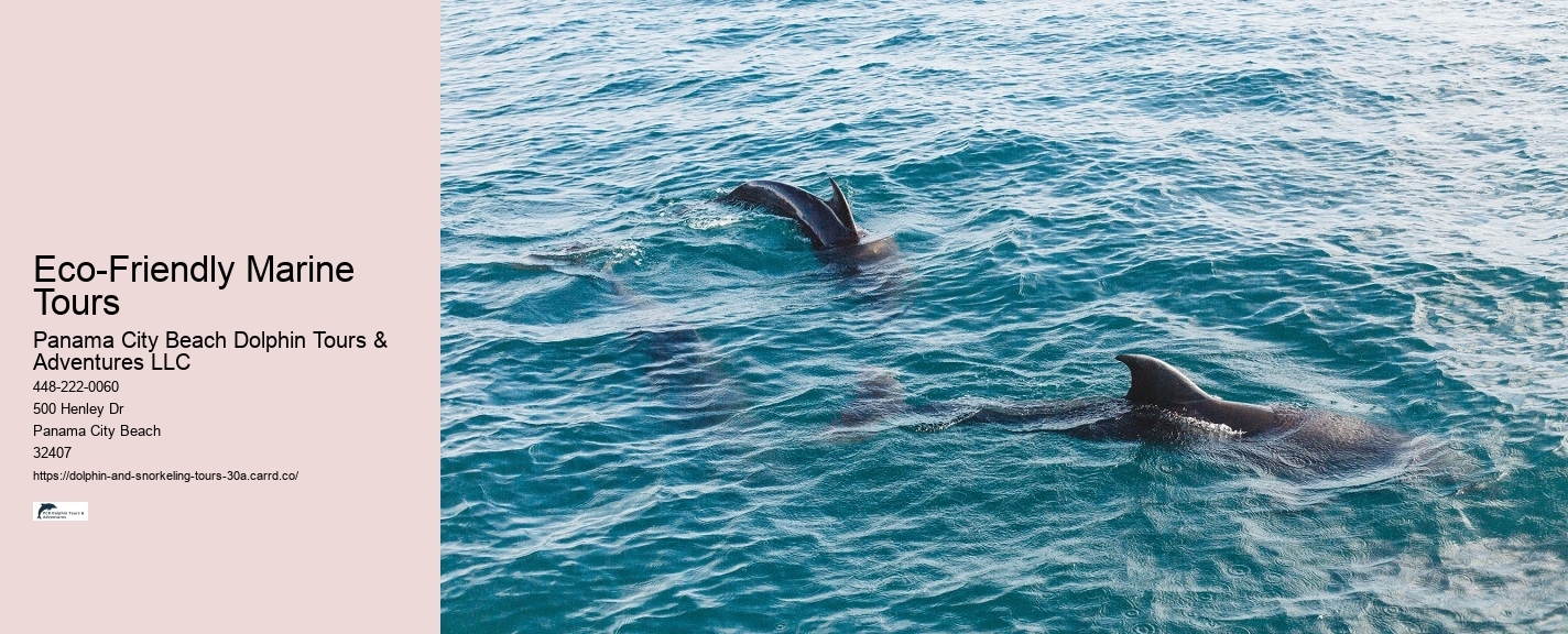 Half-Day Dolphin Tours Panama City