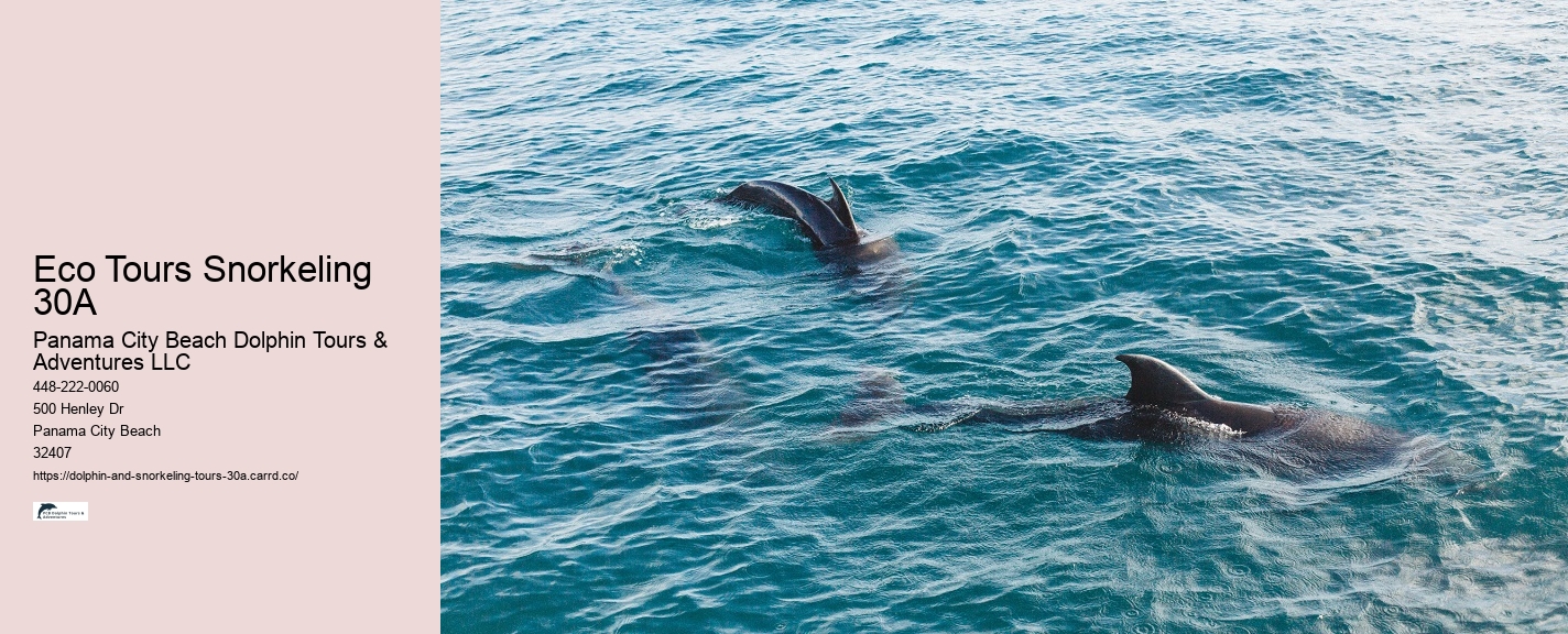 Dolphin Ears Tours