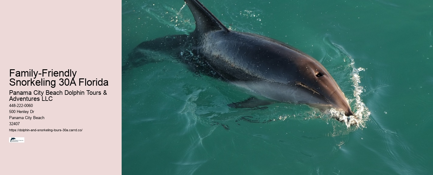 Dolphin Facts and Information