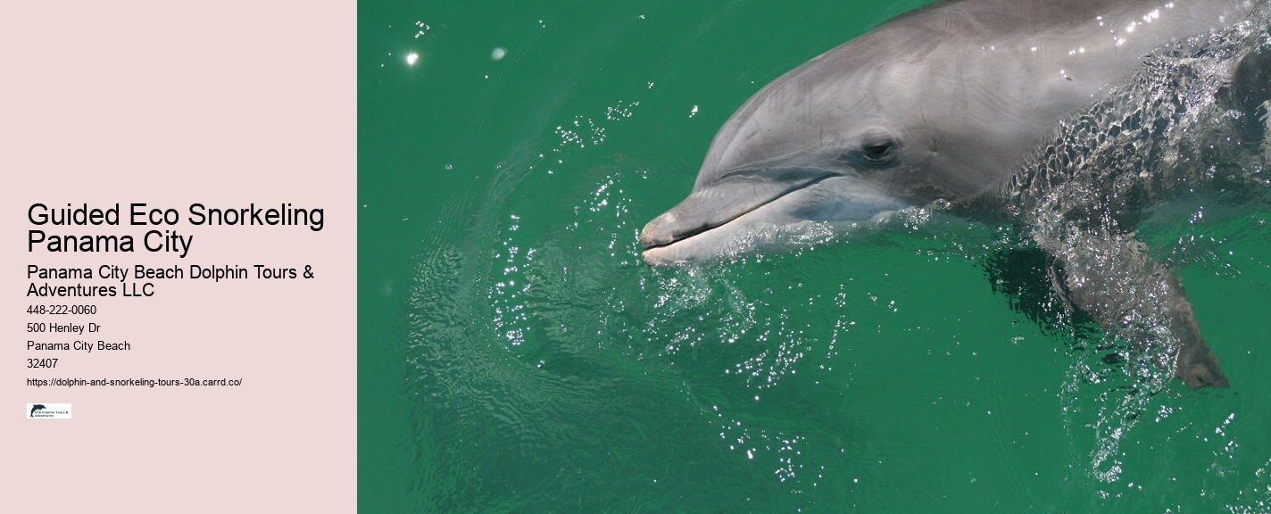 Family-Friendly Snorkeling 30A Florida