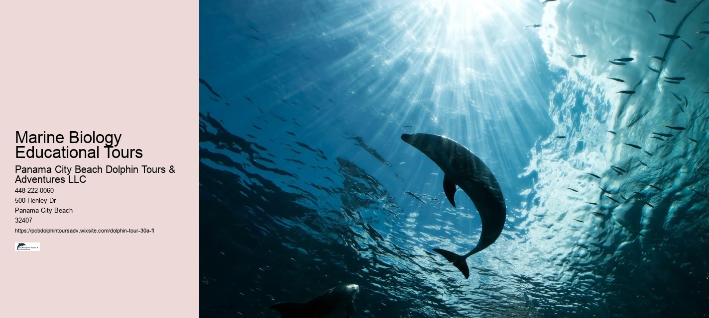Marine Biology Educational Tours