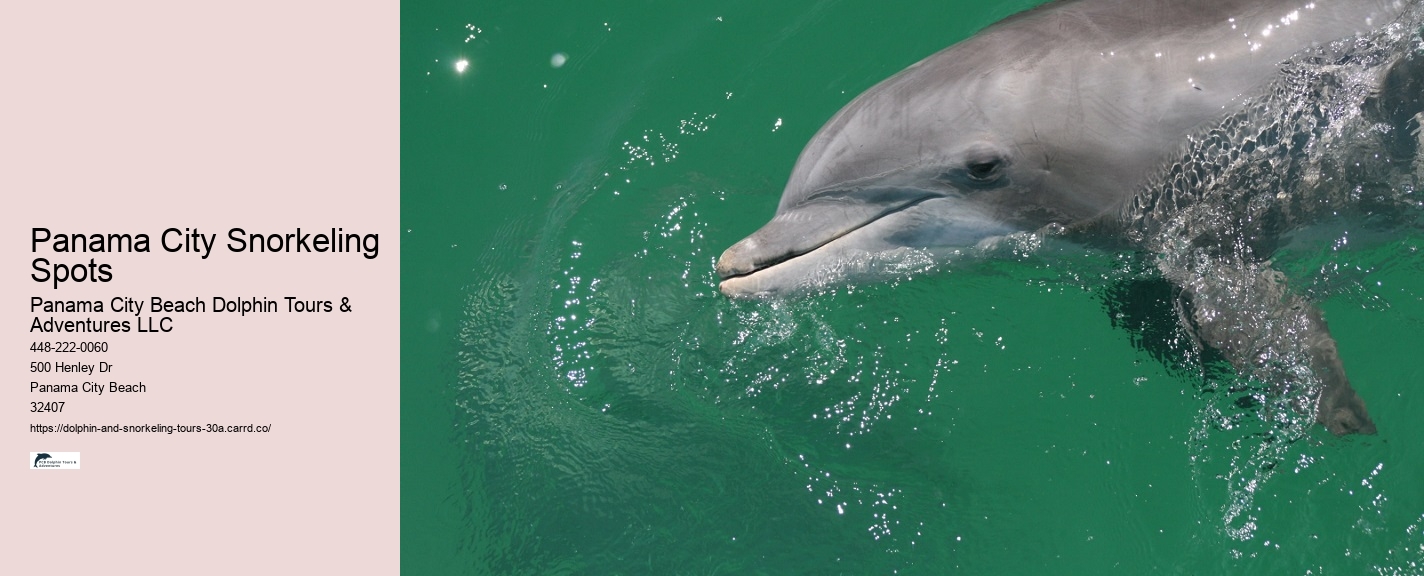 Blue Dolphin Tour