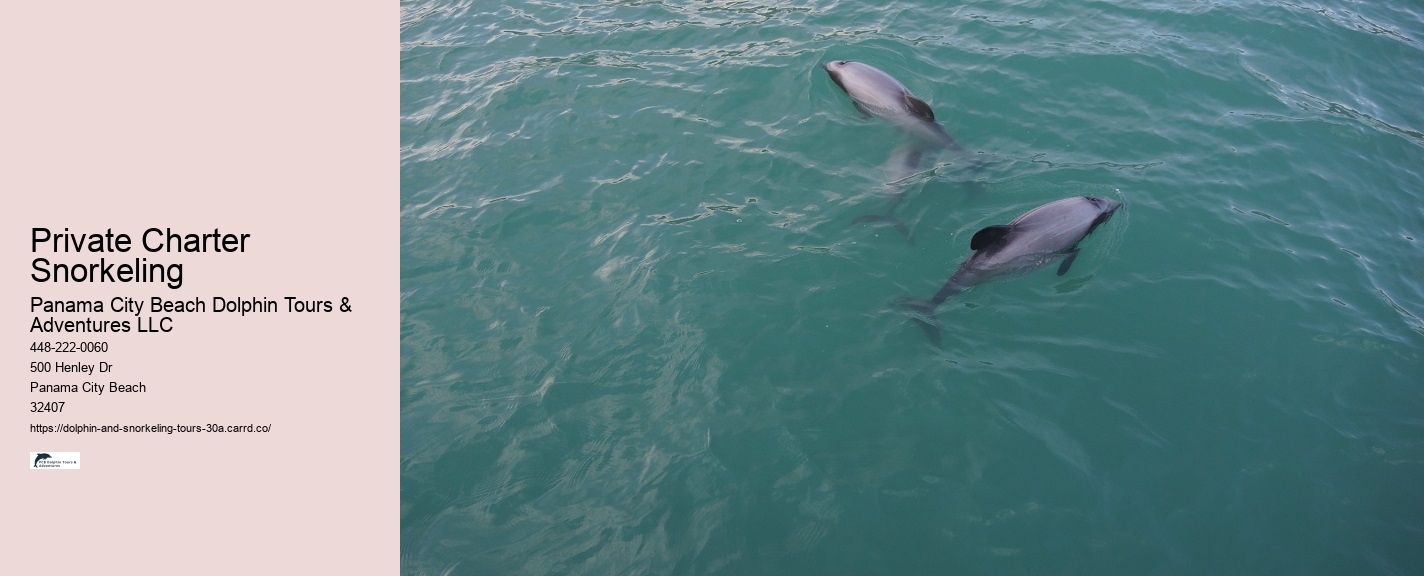 Dolphins