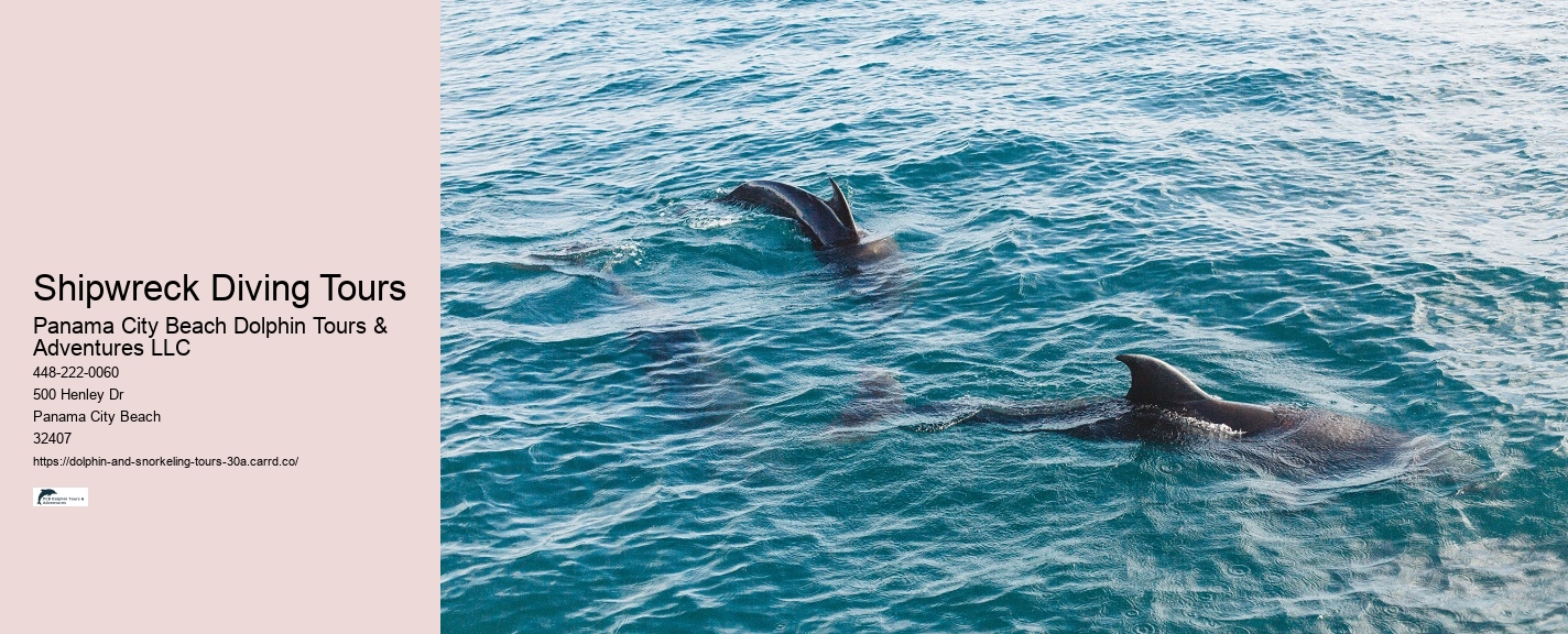 Dolphin Trainer Meaning