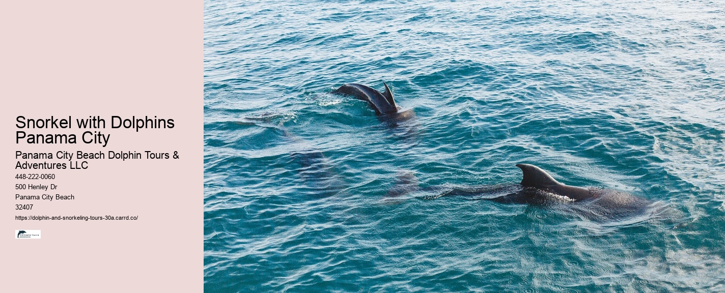 Dolphin and Snorkeling Tours 30a Florida Price