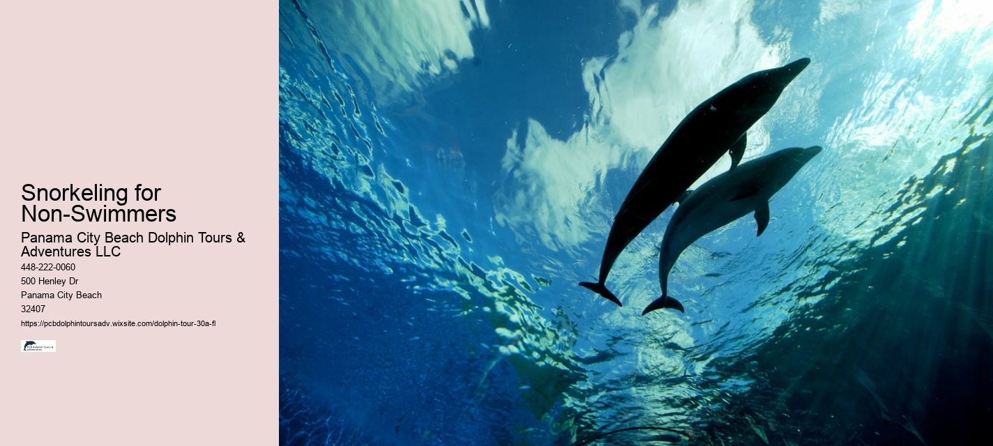 Snorkeling for Non-Swimmers