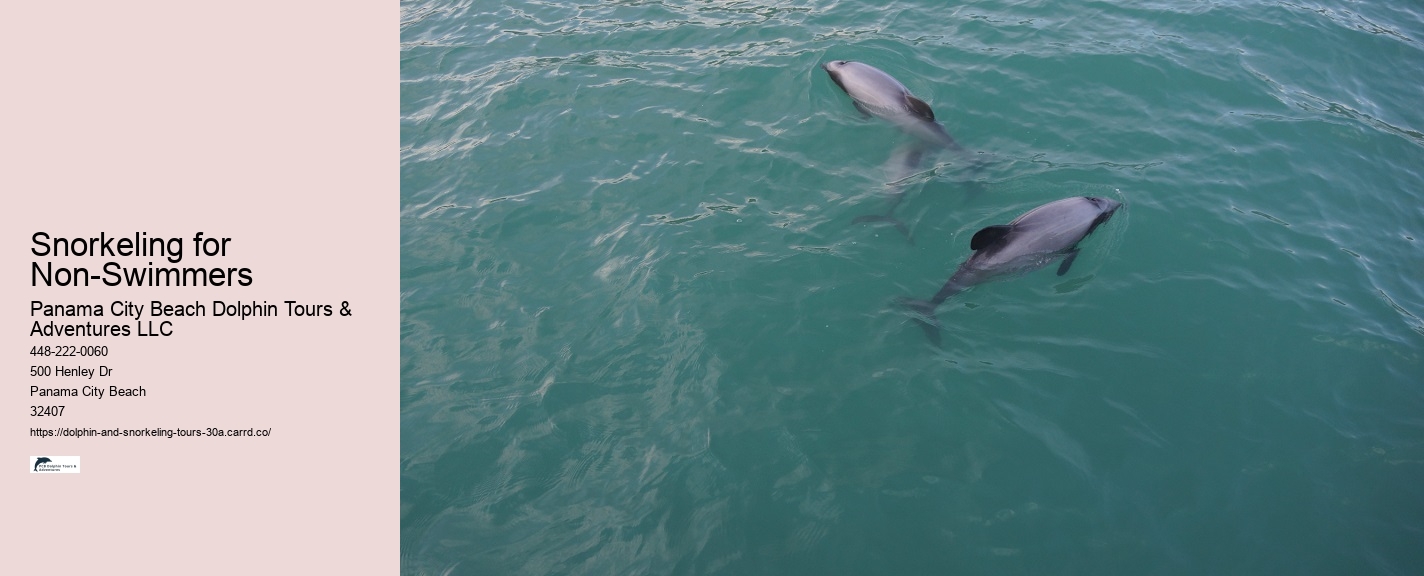 Can Dolphin Be A Pet
