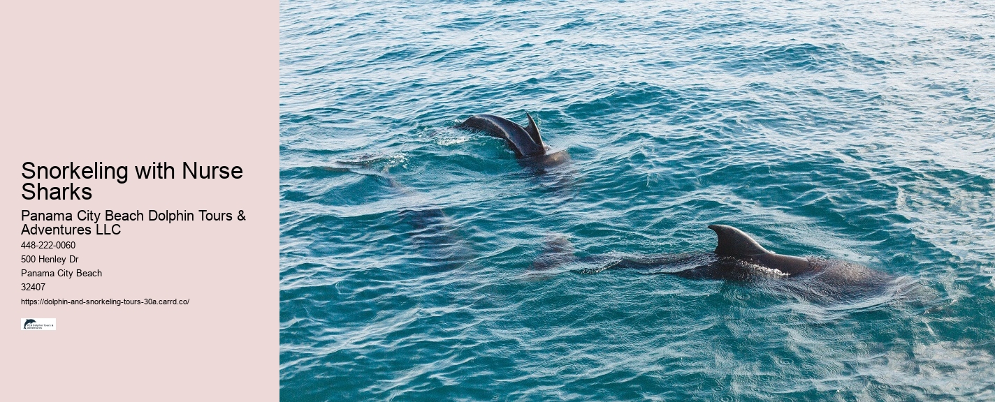 Boy On A Dolphin Watch