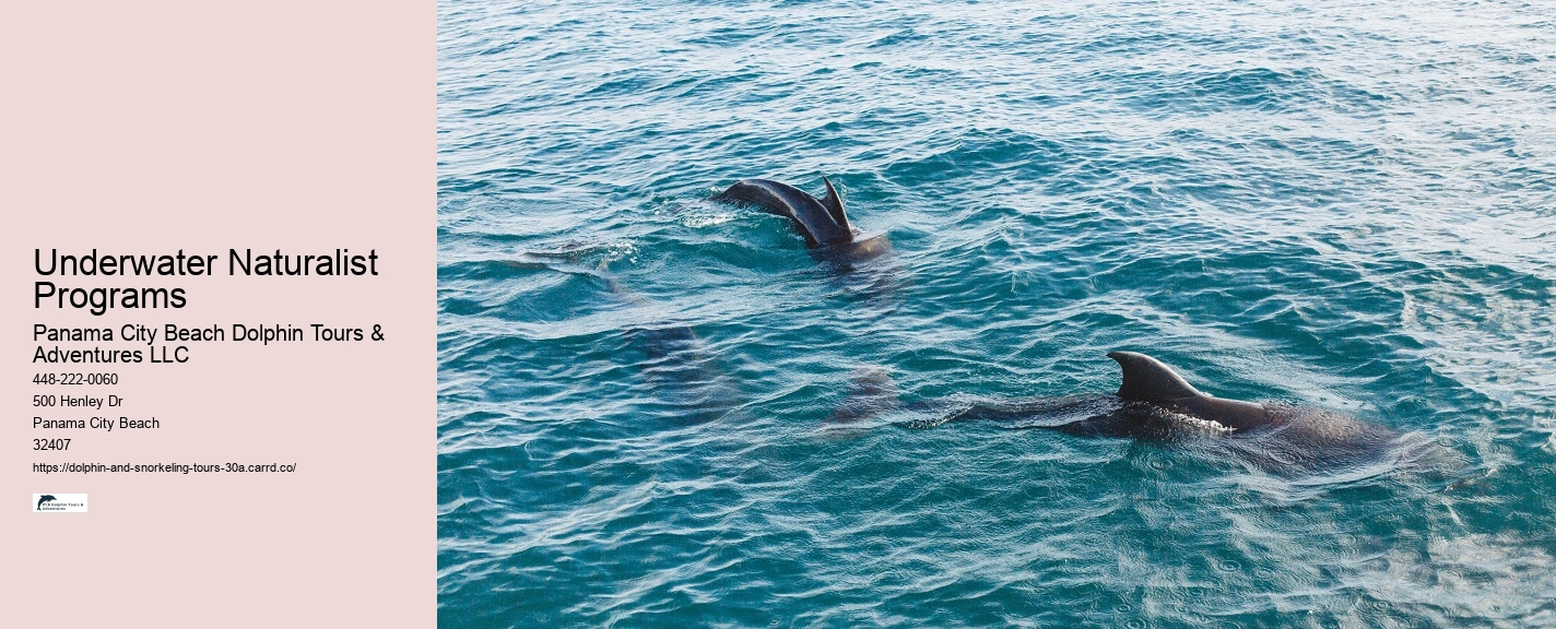 Marine Biology Educational Tours