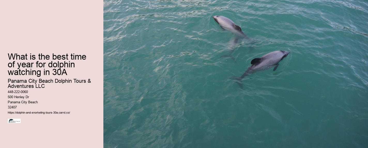 Boy On A Dolphin Watch Online