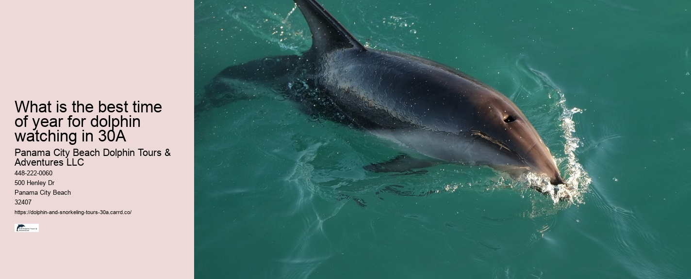 Grand Mere Dolphin Cruise
