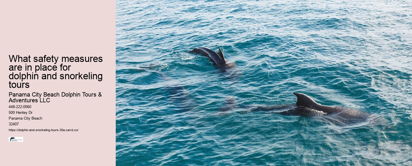 30A Seashell Snorkeling Adventures